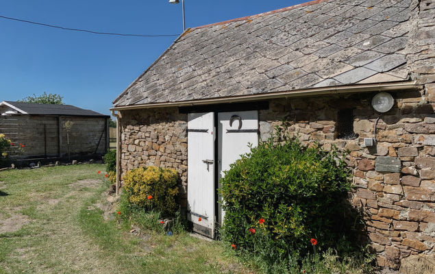 La salicorne - Photo 10