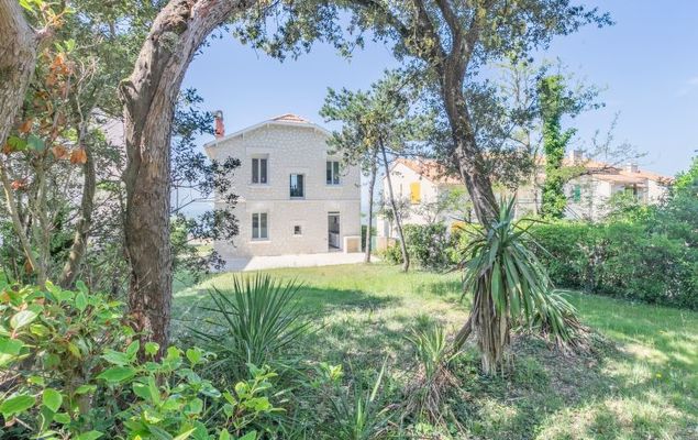 Les Trolls - Photo 1