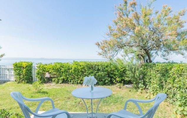 Les Trolls - Photo 2