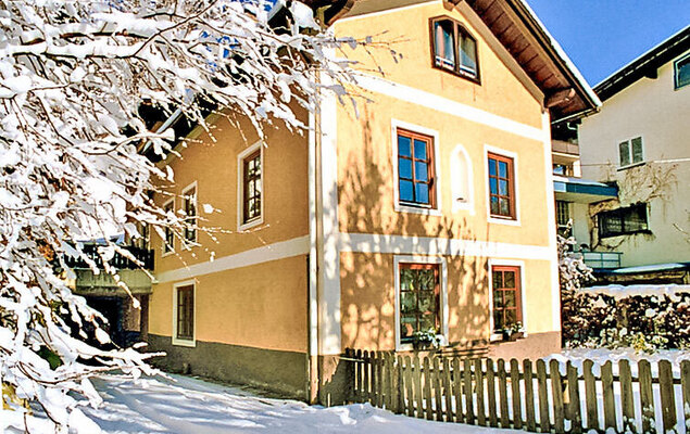 Dr.Steiner - Photo 21