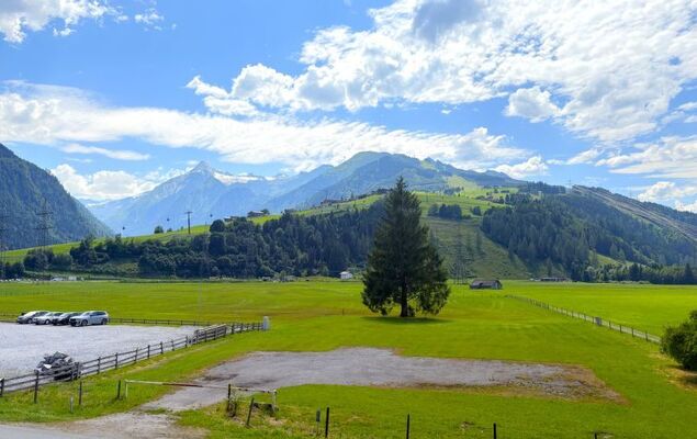 Oskar (Top 4) - Photo 7