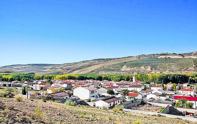 Rural Cacin - Photo 29